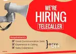 We are hiring costumer service executive for our company