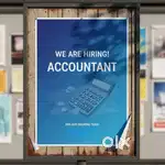 Need Accountant for wholesale clothing store