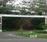 घरेलू  कार्यों के लिए लड़की या महिला की आवश्यकता है
