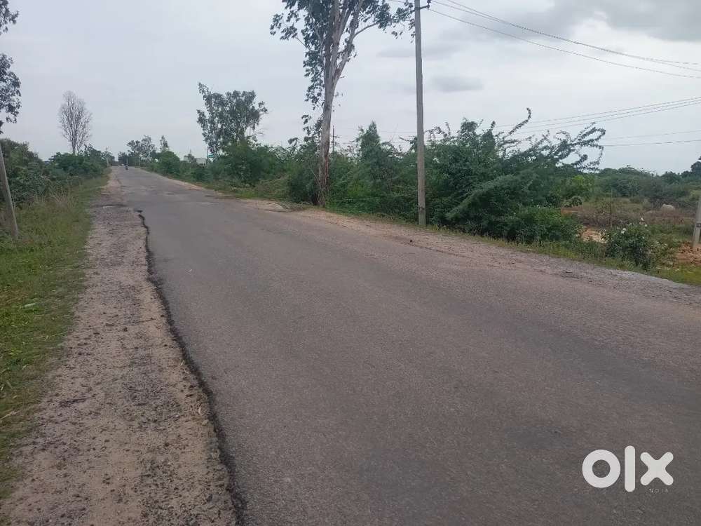 Comercial Agriculture Land for Rent