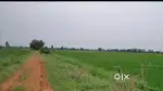 Near dagadarthi air port. Opposite chendrasekarapuram village