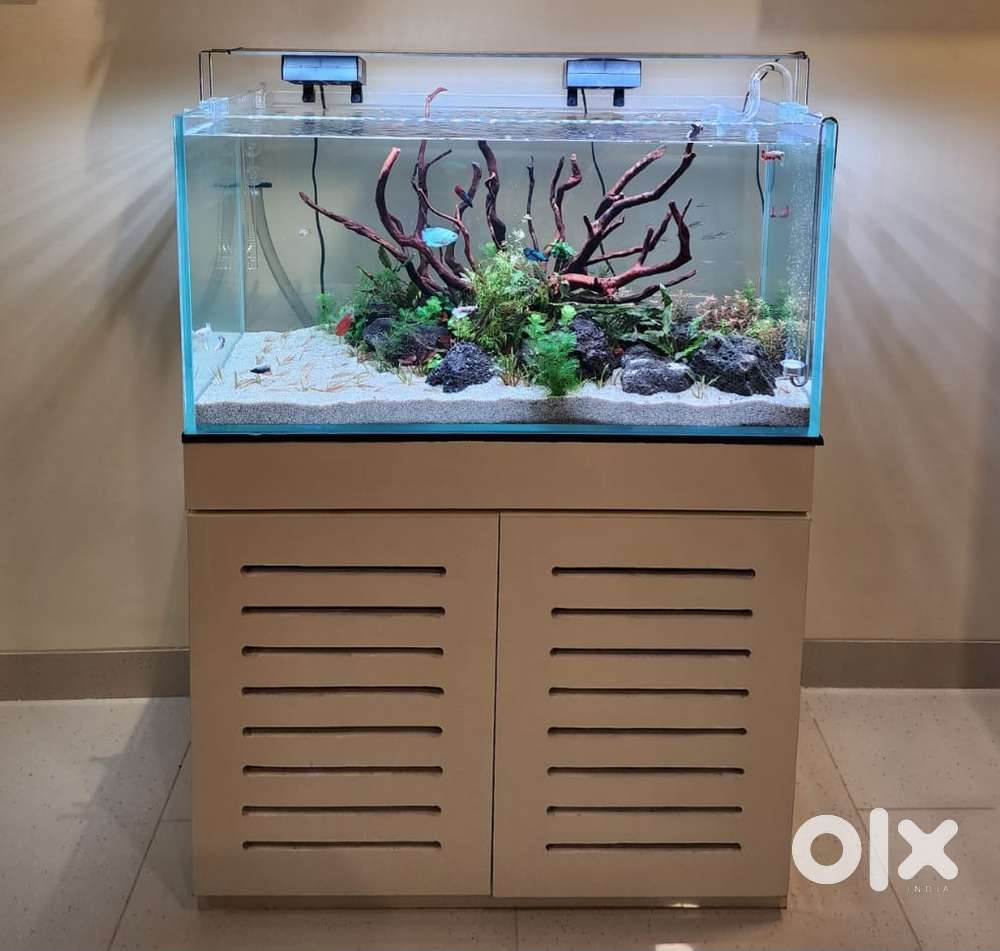 Fish tank for sale