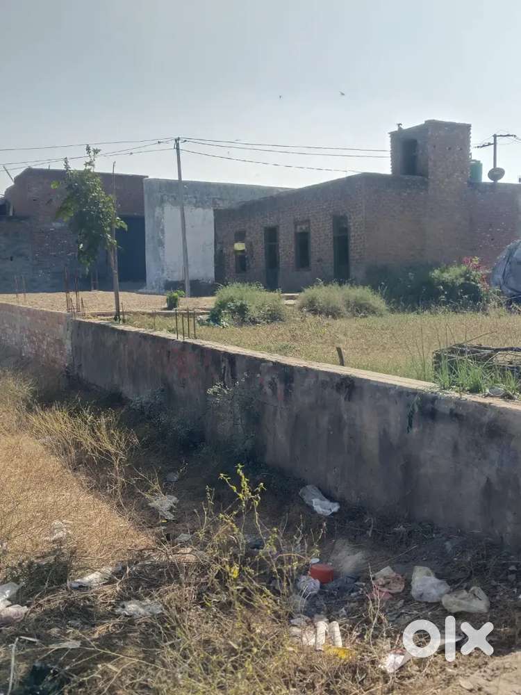 प्लॉट शामली अड्डे के पास होशियारपुरी खंजापुर में है।