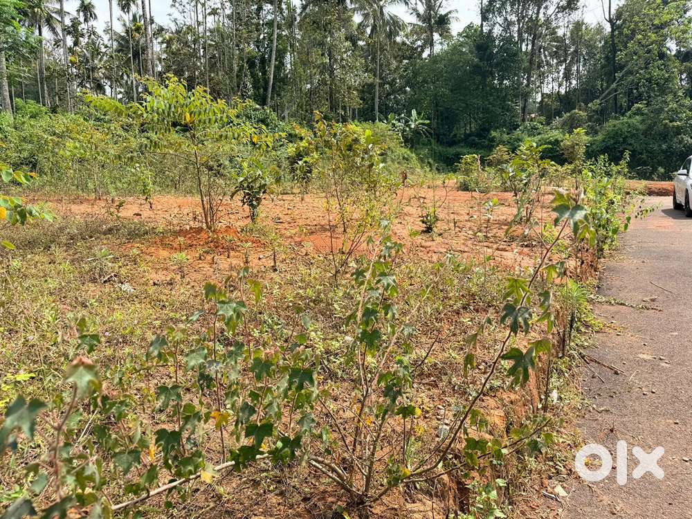 House plot for sale near krishnagiri cricket stadium