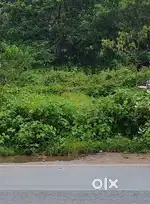 Prime Residential Plot Near Lulu Mall PALAKKAD