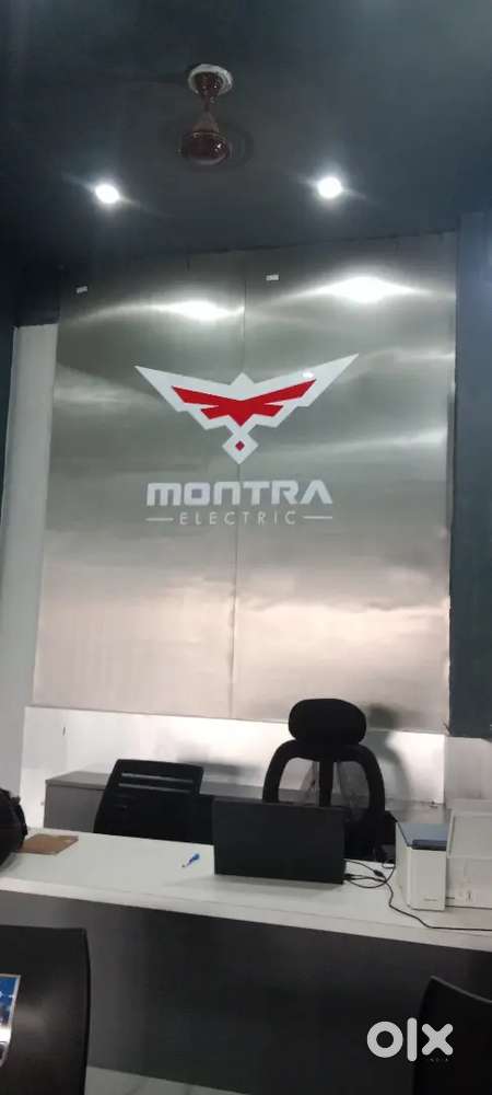 Sales executive for three Wheeler