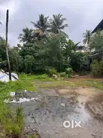 10 cents Residential Plot for Sale near Assisi School, Chembumukku