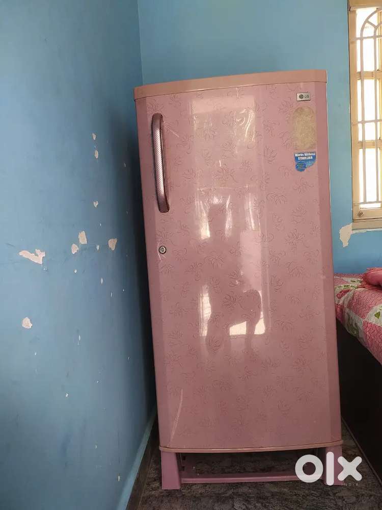 L G fridge