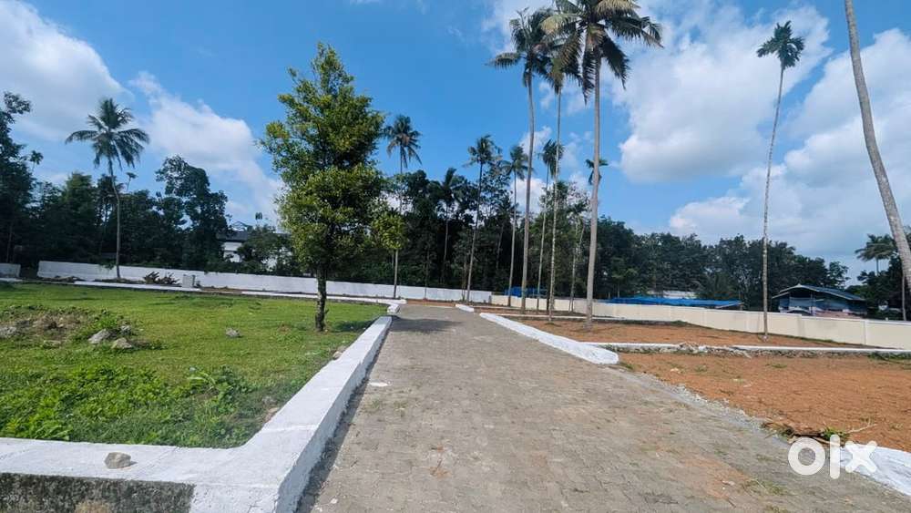 6–15 Cent Residential Plots for Sale Near Karukutty – Basleham Church