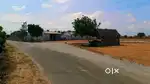 Low Budget Investment