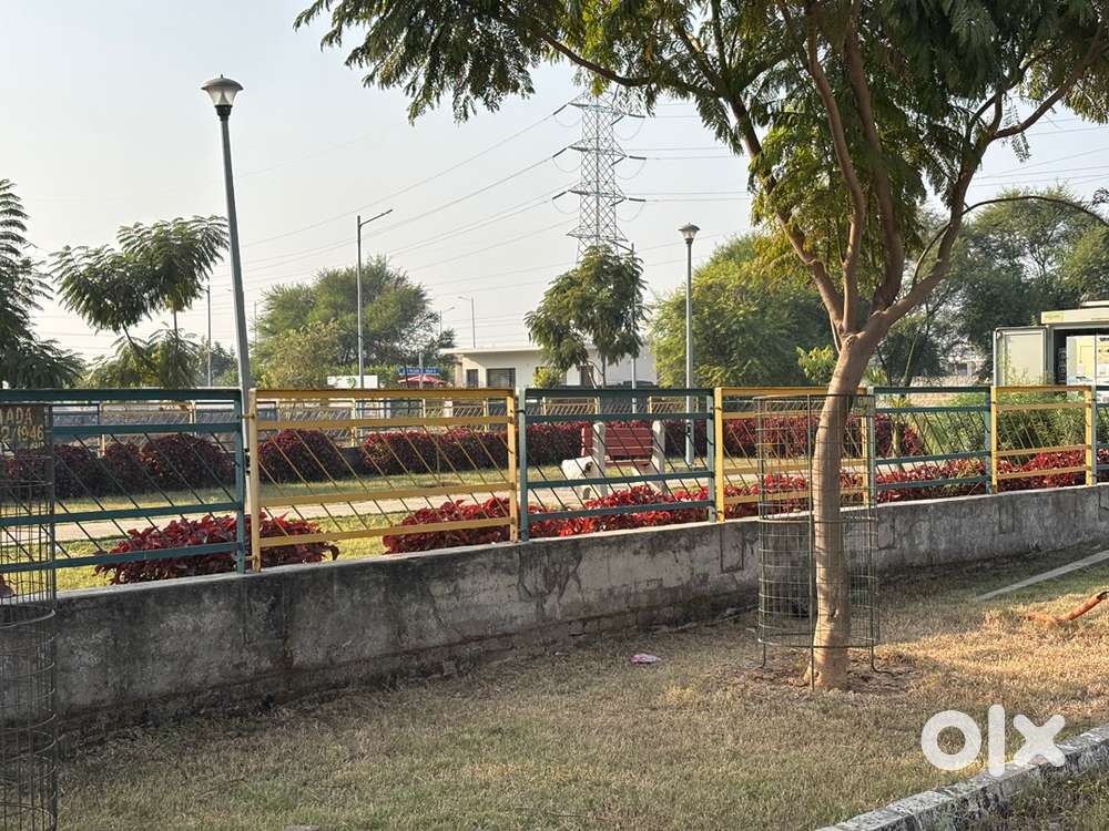 100 Gaj Plot in EcoCity 2