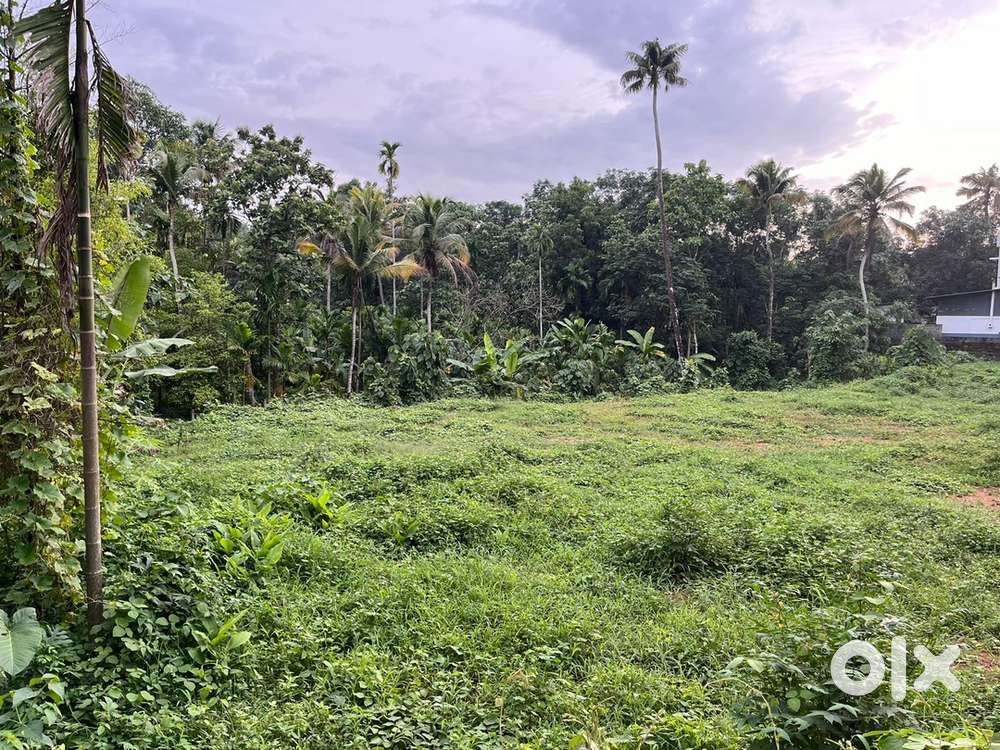 5 cent plot for sale negotiable