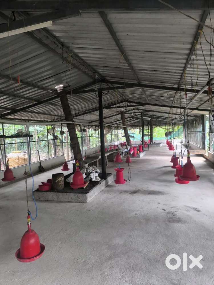 Godawn space for rent near mullakad