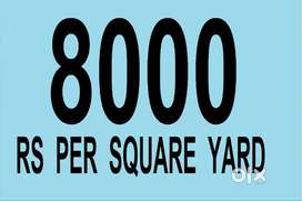 SHADNAGAR PLOTS FOR SALE NEAR RAIKAL RAMESHWARAM TEMPLE, HOUSES & RRR