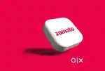 Zomato delivery job flexible hour's