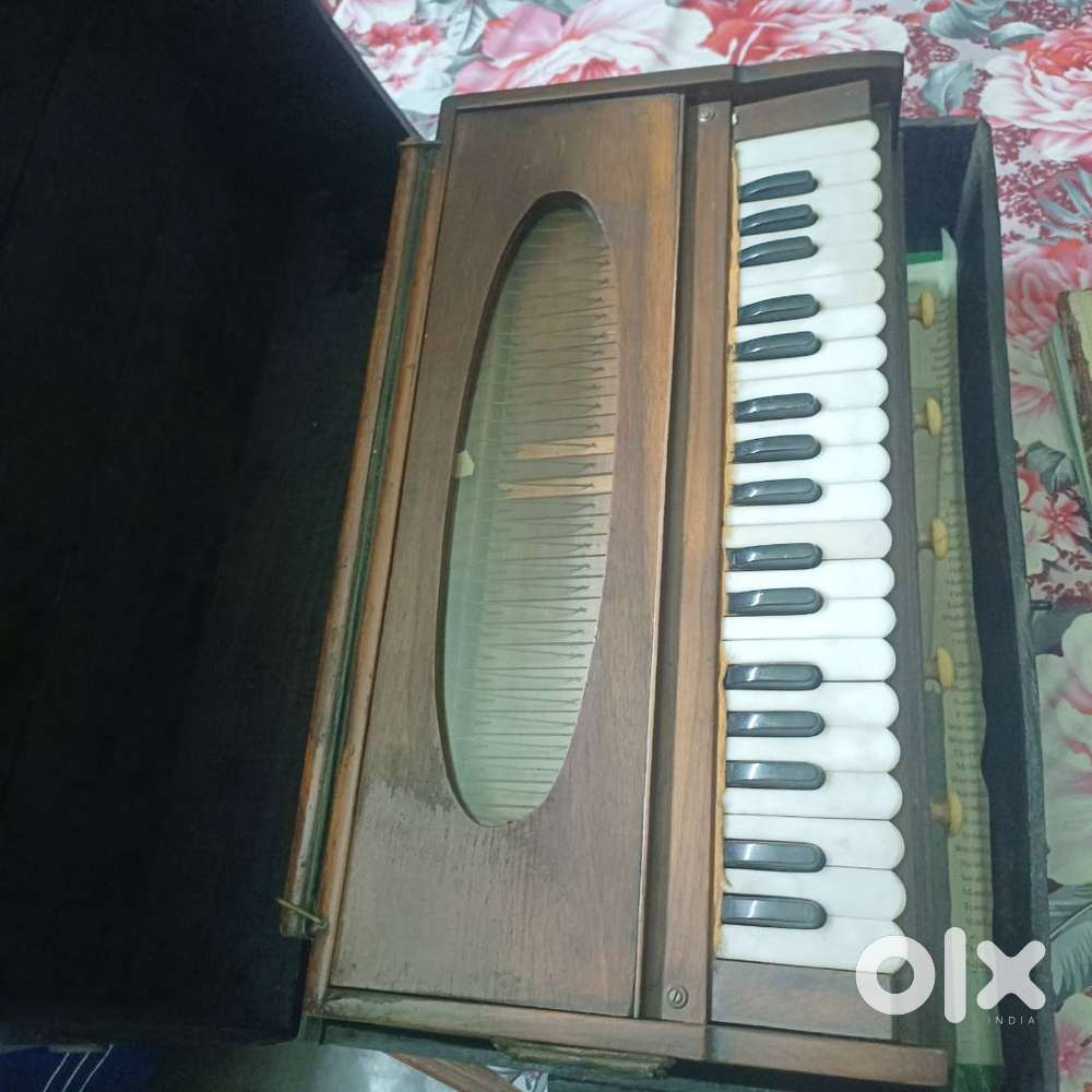 Harmonium and tabla