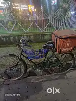 new brand cycle