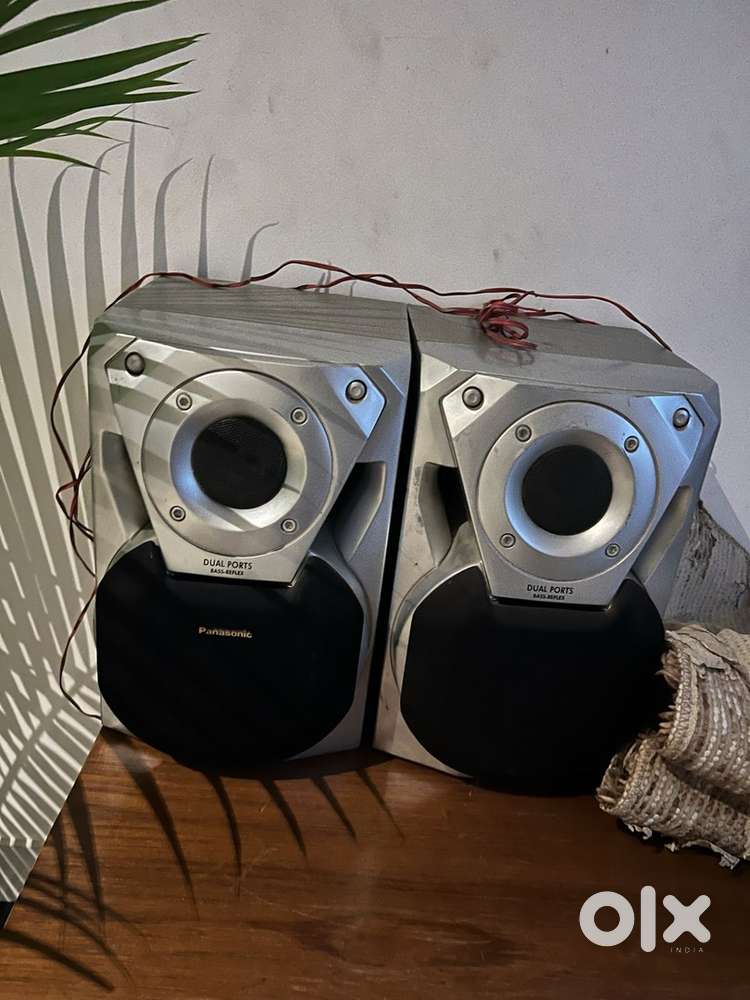 Panasonic bass speaker