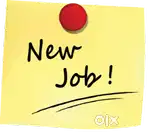Fresher candidate apply now Bank Job