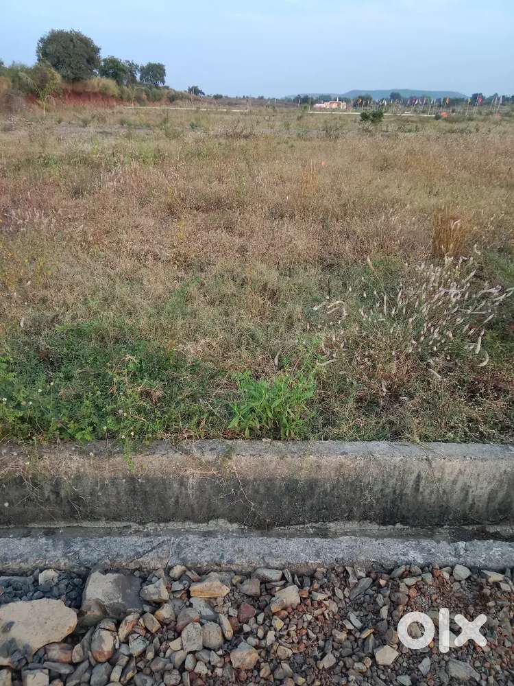 1000 Sqft plot sale Masod  - 12 Month Mudat