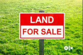 5beegha land for sale in lakri fajalpur with boundary walls