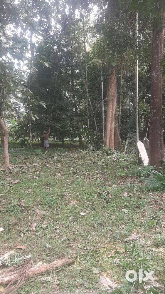 32 Cent Plot for Sale Peringara Thiruvalla