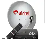 Customer support Executive