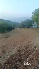 240 Agricultural open land for sale