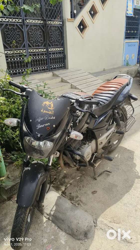 Pluser 150 DTS-I BSIII