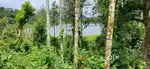 Karapuzha Dam Frontage Land For Sale In Wayanad