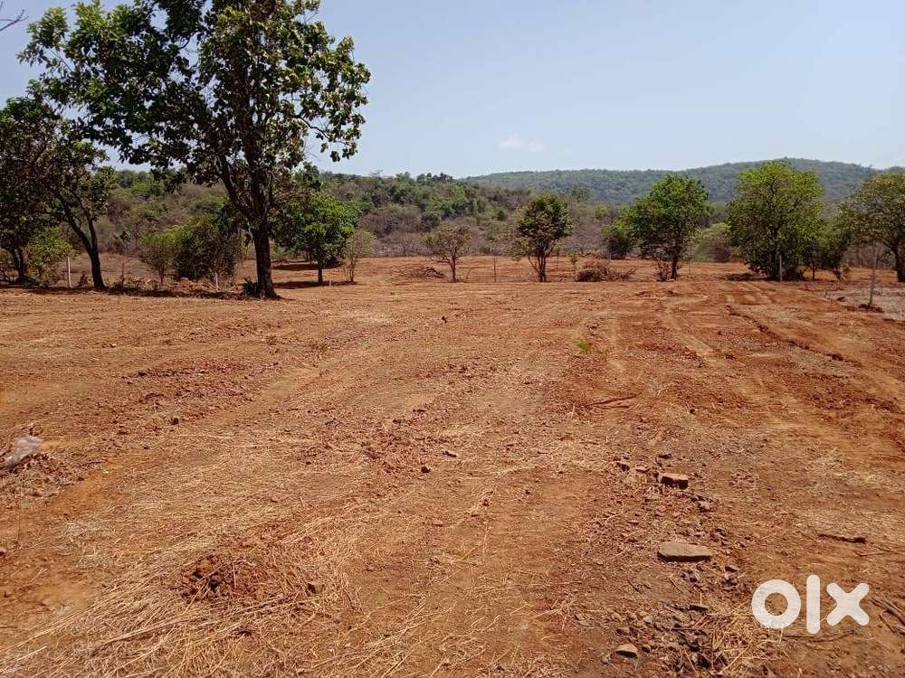 Road Touch Agriculture Land Sale in Mangaon Raigad off Goa Highway