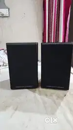Alumni Mordaunt-Short speaker