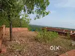 Land for sale korom north. 5 cent