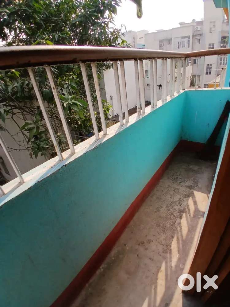 Girl room partner needed