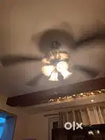 Crompton brass fans, 2 fans and 1 jhumar set
