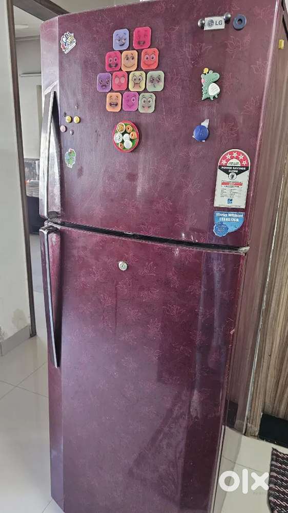 LG 2 Door Refrigerator