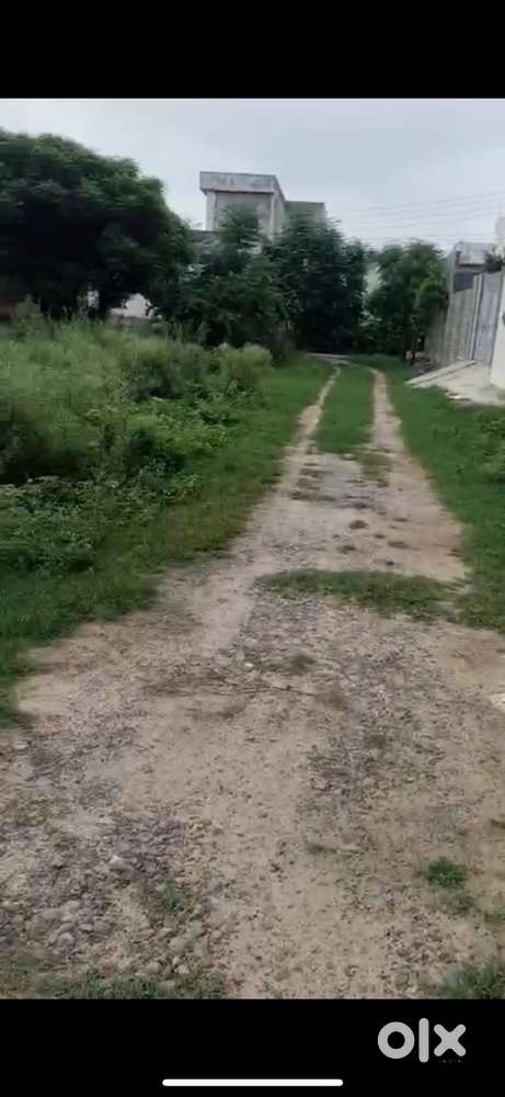 235 gaj plot in navjeet colony backside Dmart 14000 per gaj