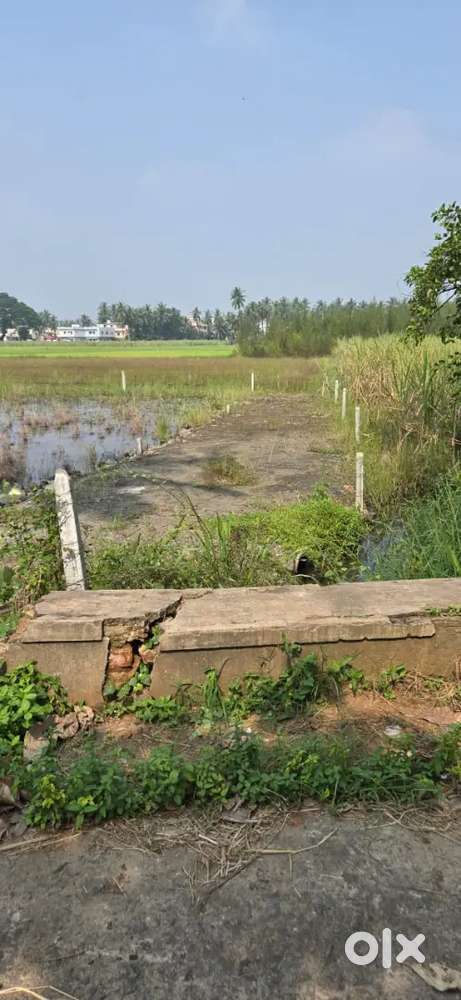 HOUSING SITE FOR SALE 4 CENTS 2 BITS AVAILABLE IN GANGADEVIPETA 15FTRD