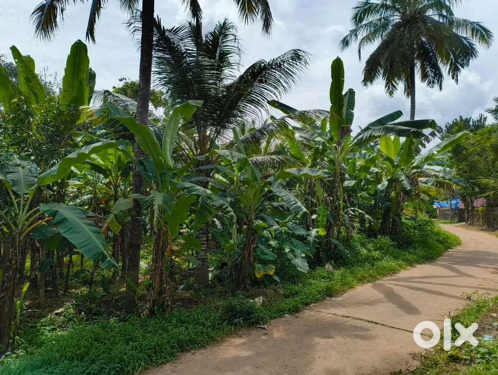 Residential Land for Sale - 40 Cents at Anchal, Kollam