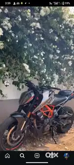 Duke 250 for sale