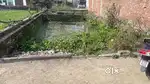 Urgent sell- 136 Gaj plot Kargaina
