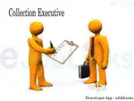 Required Delivery cum Collection excutive