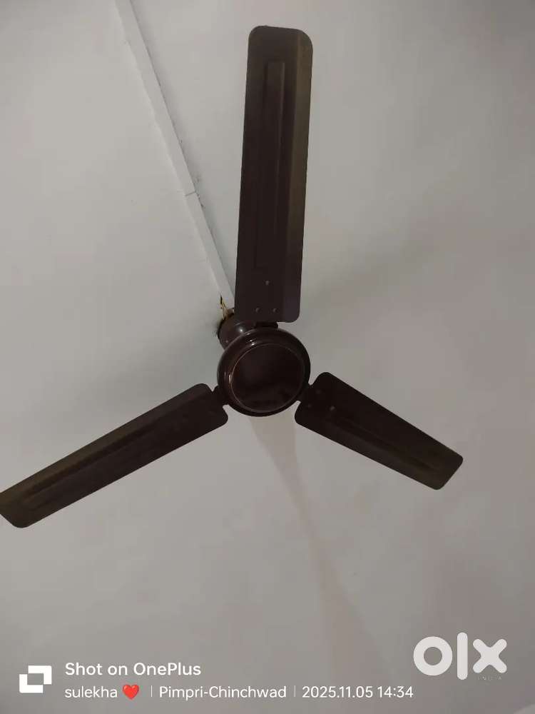 Fan (6 mount only use)