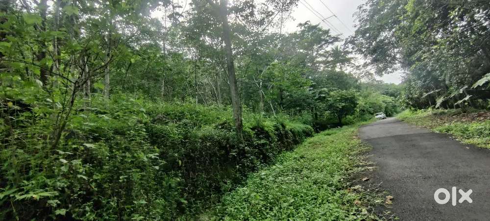 കൃഷി /ഫാം റിസോർട് നു അനുയോജ്യമായ സ്ഥലം