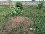 5 Cent Water tankroad Nagercoil Kanyakumari District