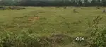 ** 1' acre and Land for sale **