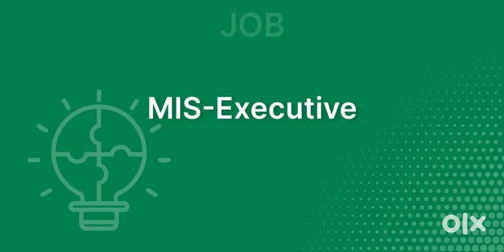 We Are Hiring For MIS Executive
