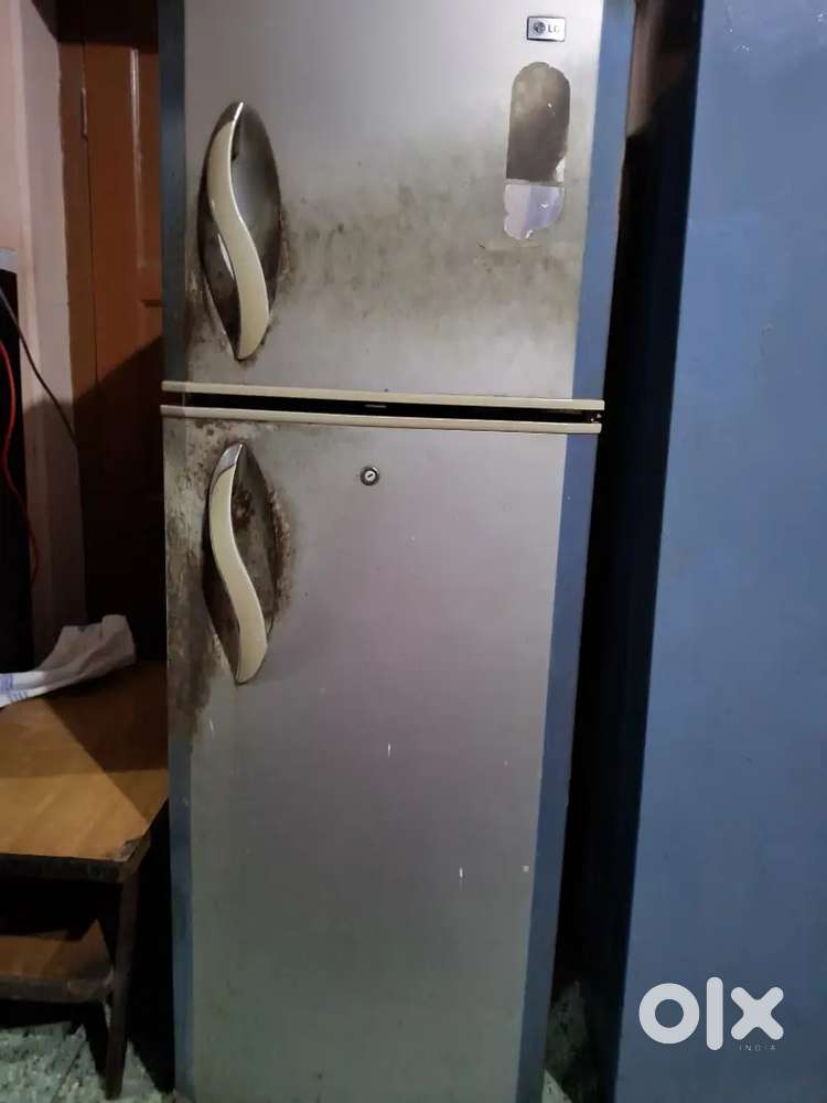 Lg double door fridge