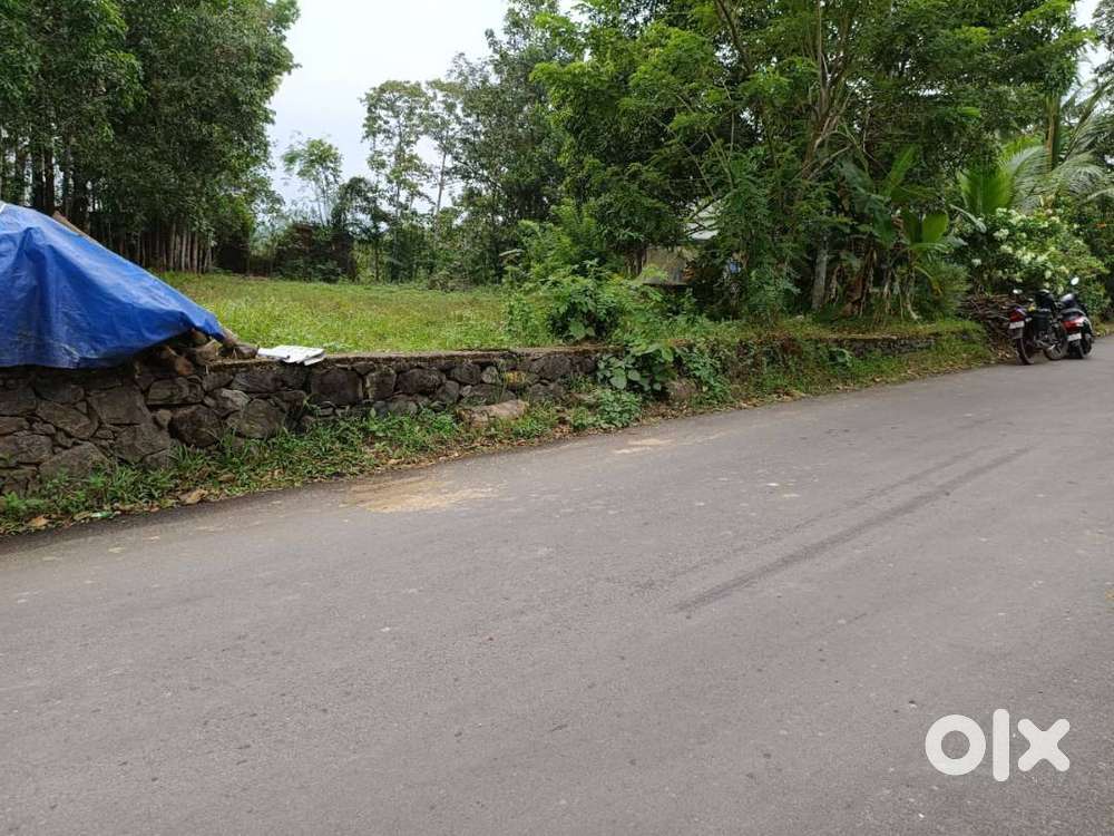 20 Cents of Land in Pallikkara