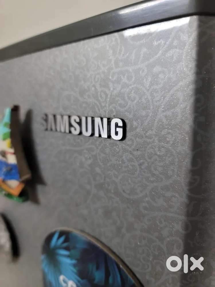 250L Double Door Refrigerator